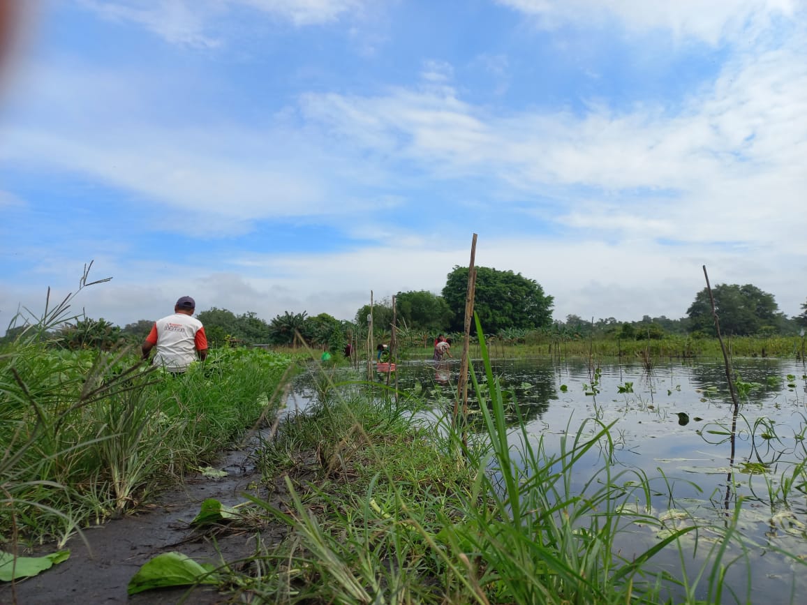 banjir pangkalan bun