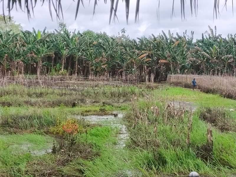 banjir pangkalan bun
