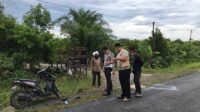 kecelakaan palangkaraya