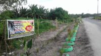 TPS liar pembuangan sampah