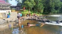 wisata lamandau