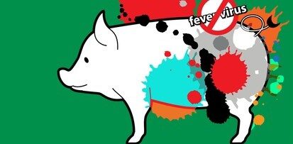 ratusan babi di kapuas mati