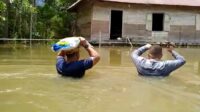 Banjir arut utara