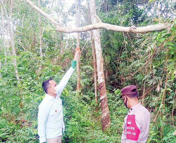 pemuda