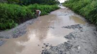 Jalur Selatan Kecamatan Pangkalan Banteng