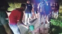 Truk Hantam Ayah dan Anak dari Belakang