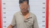 bibit kelapa sawit