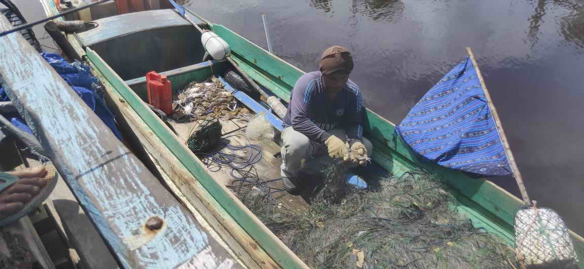 harga,Kepiting