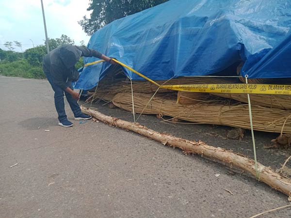polda kalteng sita rotan