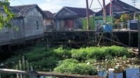 Demam Berdarah Masih Jadi Ancaman di Kotawaringin barat