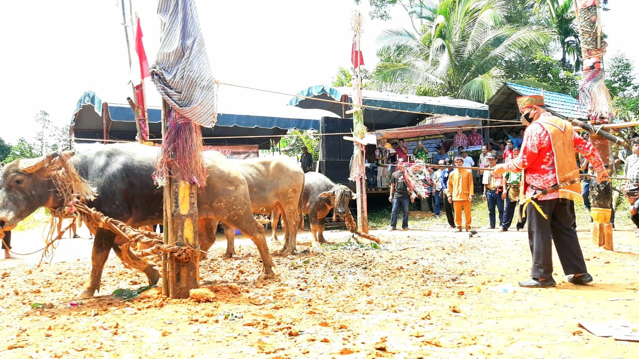 suku dayak,ritual tiwah