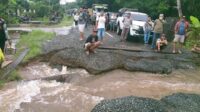 Terjangan banjir di Kabupaten Katingan