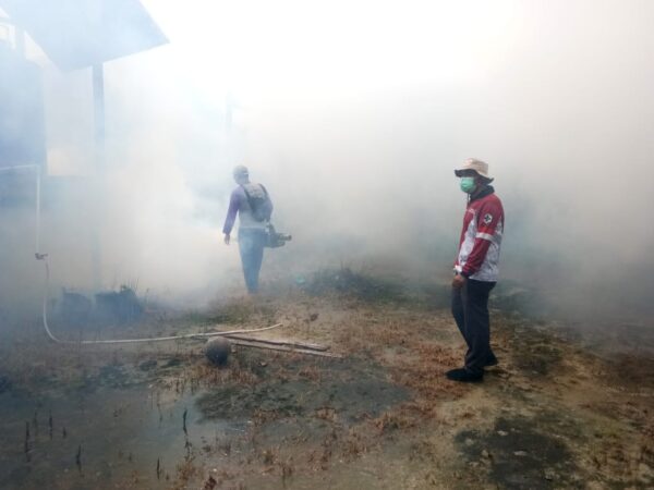 kasus demam berdarah dengue (DBD) menurun signifikan