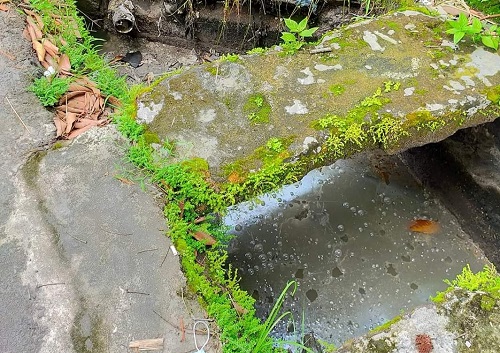 Bau Busuk Drainase Resahkan Warga Sesepat