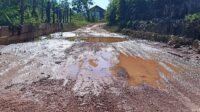 Jalan RT 01 Kotawaringin Hilir Memprihatinkan