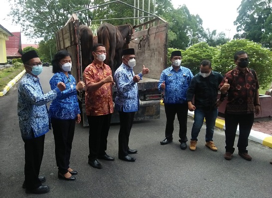 Kembangkan Pariwisata di Kotawaringin Barat Astra Agro Sumbangkan 4 Ekor Kuda Tunggang