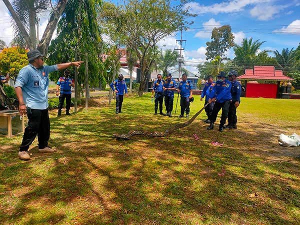 LATIHAN Latihan Bersama Asah Kemampuan