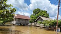 Pangkut,Banjir di kotawaringin barat