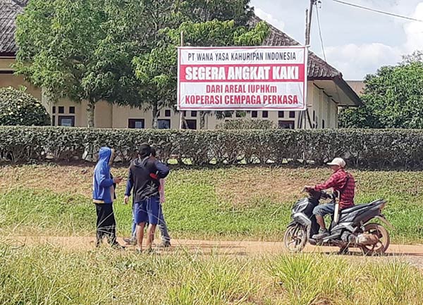 Ratusan Hektare Sawit PT WYKI Diduga Ilegal