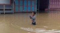 katingan,waspada banjir