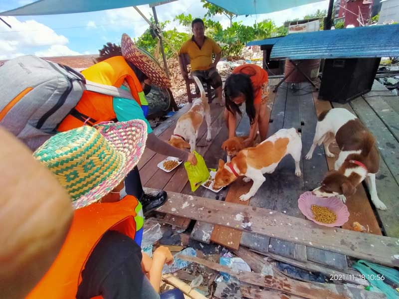 palangka raya,peliharaan