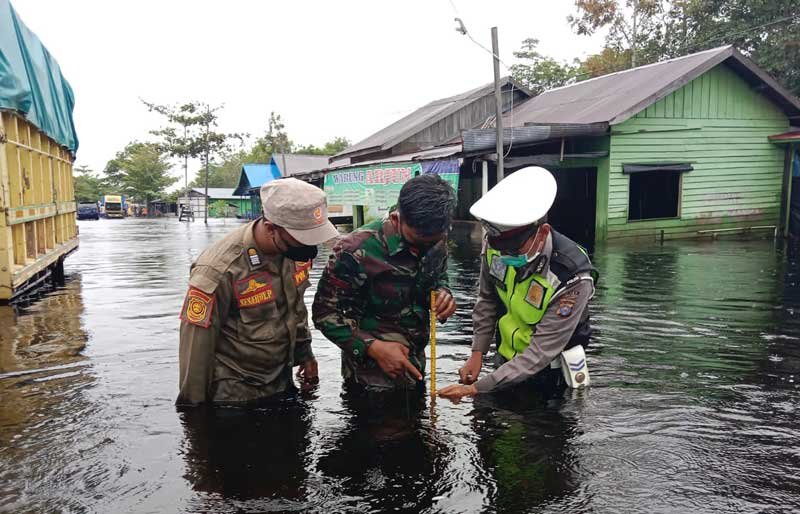 pulang pisau,tumbang nusa