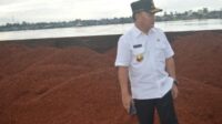 Pemerintah Provinsi Kalimantan Tengah menemukan salah satu pemegang Izin Usaha Pertambangan (IUP) di Kabupaten Kotawaringin Barat