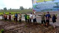 pengembangan kawasan food estate di Kabupaten Kapuas-Pulang Pisau sudah terlaksana sebagaimana mestinya