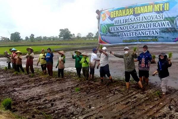 pengembangan kawasan food estate di Kabupaten Kapuas-Pulang Pisau sudah terlaksana sebagaimana mestinya