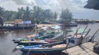 Nelayan Pantai Lunci Panen Udang
