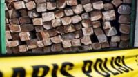 Kayu Ulin Kotim Gagal Diangkut ke Banjarmasin