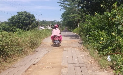 Jembatan di Desa Natai Baru Kecamatan Arut Selatan Kabupaten Kotawaringin Barat