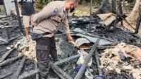kebakaran Desa Tangkorobah Kecamatan Mentaya Hulu Kabupaten Kotawaringin Timur (Kotim)