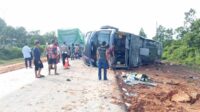Bus Logos jurusan Palangka Raya - Pangkalan Bun mengalami kecelakaan tunggal di Km 31