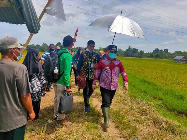 Ketahanan pangan menjadi salah satu prioritas dalam rencana kerja Pemerintah Kabupaten Kotawaringin Timur (Kotim)
