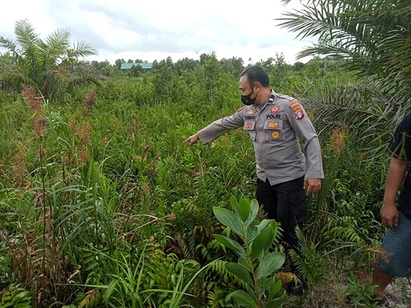 Pembuangan bayi,Dikira Nada Dering Ponsel Ternyata Suara Bayi Benaran