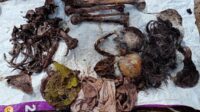 Temuan Tulang Manusia Belum Terungkap