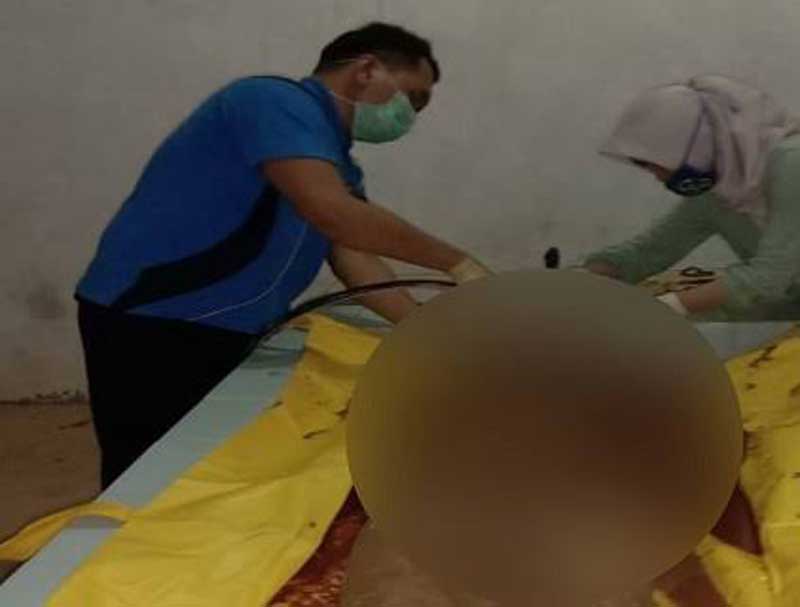 Kepala Dilempar Batu Pekerja Sawit Tewas