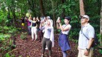 Tanjung Puting Mulai Dikunjungi Wisatawan 