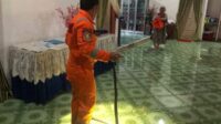 Tim Animal Rescue Pemadam Kebakaran Kotawaringin Barat (Kobar) panen tangkapan
