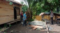 Tragedi Berdarah,Anjir Kelampan Kecamatan Kapuas Barat