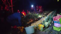 Kandang Terbakar Ratusan Anak Ayam Mati Kepanasan