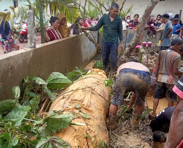 Tiga dekade lebih keluarga Nur Fitriana menjalin hubungan yang intens dengan seekor predator pemangsa