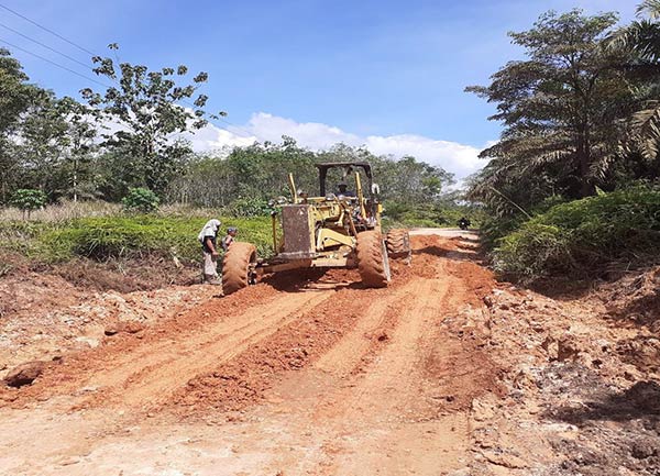 Bupati Kotawaringin Timur Halikinnor meminta perusahaan besar swasta membantu memelihara jalan agar tetap fungsional