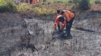Kebakaran hutan dan lahan (karhutla) mulai mengancam Kabupaten Kotawaringin Timur (Kotim) di awal tahun ini