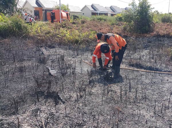 Kebakaran hutan dan lahan (karhutla) mulai mengancam Kabupaten Kotawaringin Timur (Kotim) di awal tahun ini