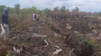 Pemerintah tak boleh kalah menghadapi ancaman kebakaran hutan dan lahan yang diduga sebagian disengaja oknum tertentu