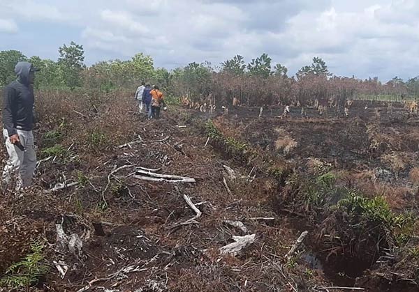 Kebakaran hutan dan lahan (karhutla) yang mulai terjadi di Kabupaten Kotawaringin Timur (Kotim) diduga sengaja dibakar oknum tertentu