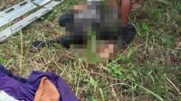 Kecelakaan maut antara pikap dengan sepeda motor di Jalan Jenderal Sudirman Km 58