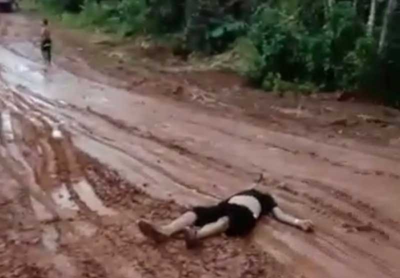 Diserang Pasukan Lebah Sopir Taksi Travel Tewas